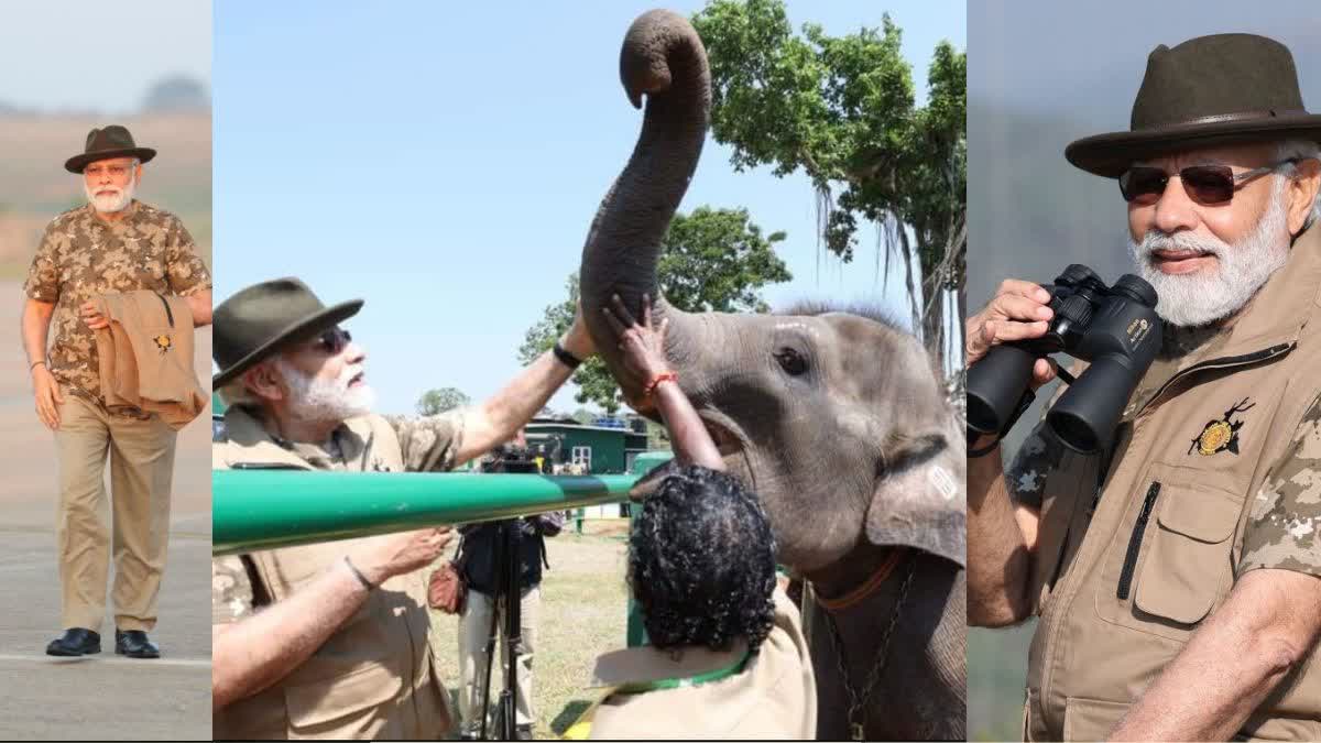 pm modi in tiger reserve bandipur, madumalai