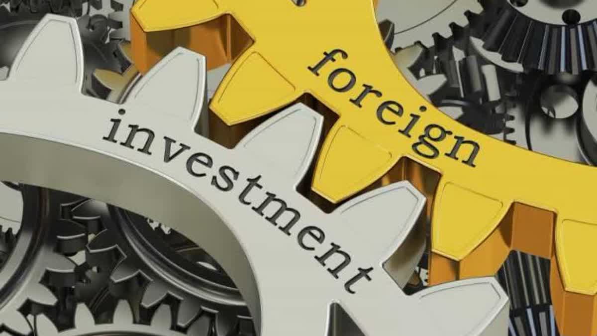 Foreign Investors