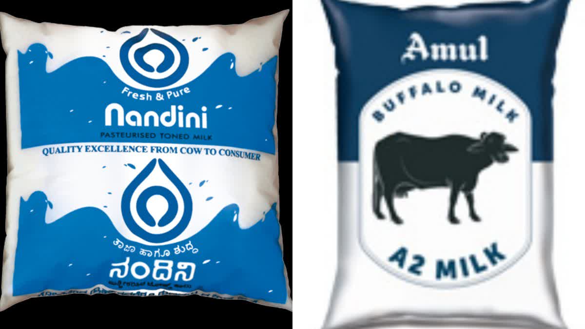 Nandini vs Amul: What is the reality of the KMF-Amul milk tussle?