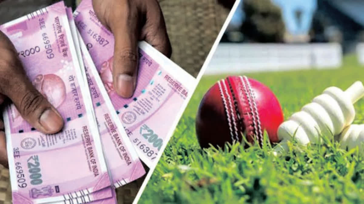 Cricket Betting Gang Arrest