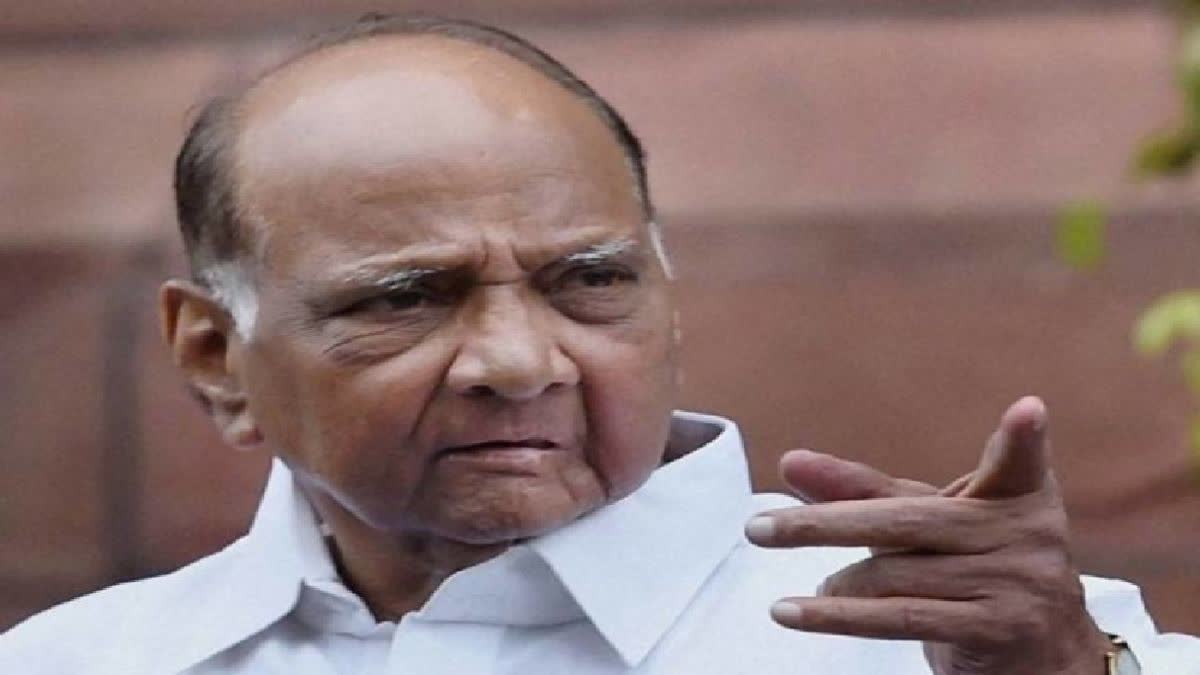 Etv BharatNCP Chief Sharad Pawar comments on pm modi's degree arvind kejriwal congress jpc on adani issue