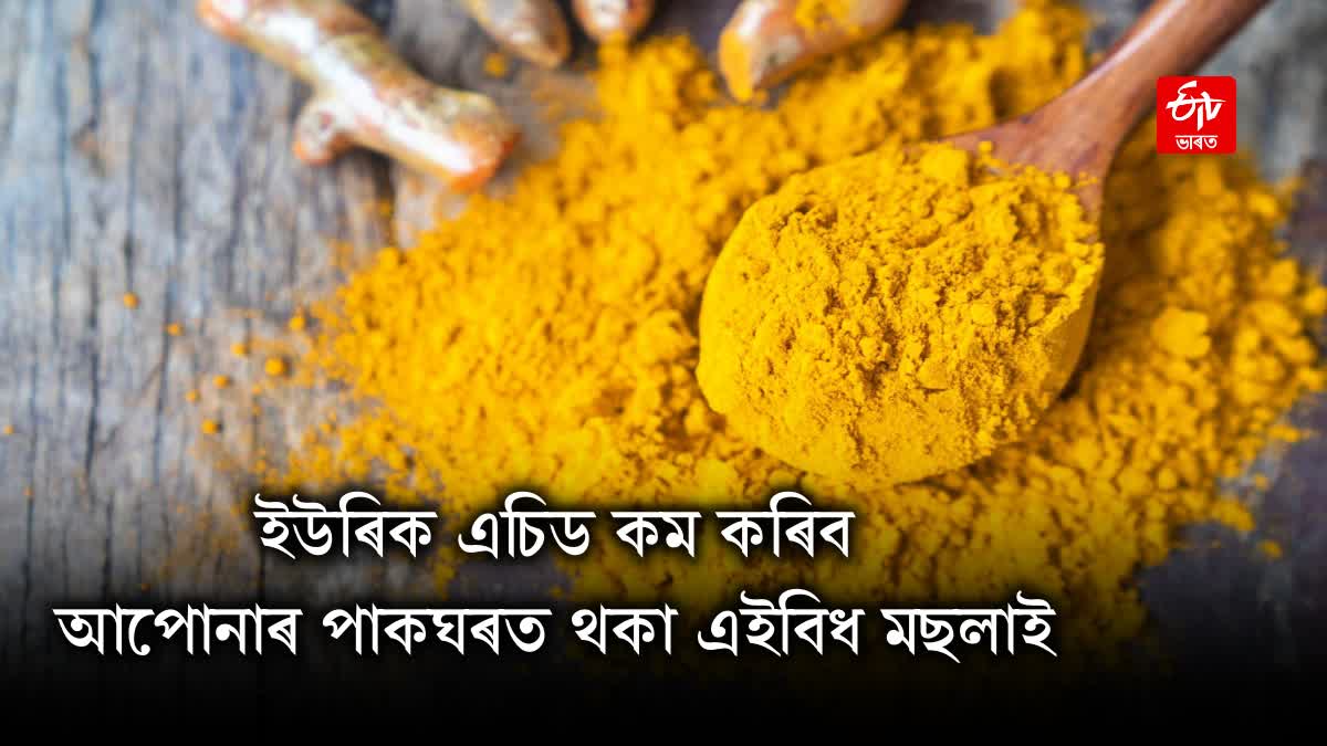 Can turmeric help in controlling high uric acid levels?