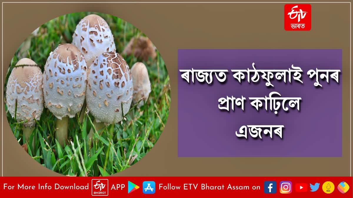 Dead after consuming poisonous mushrooms
