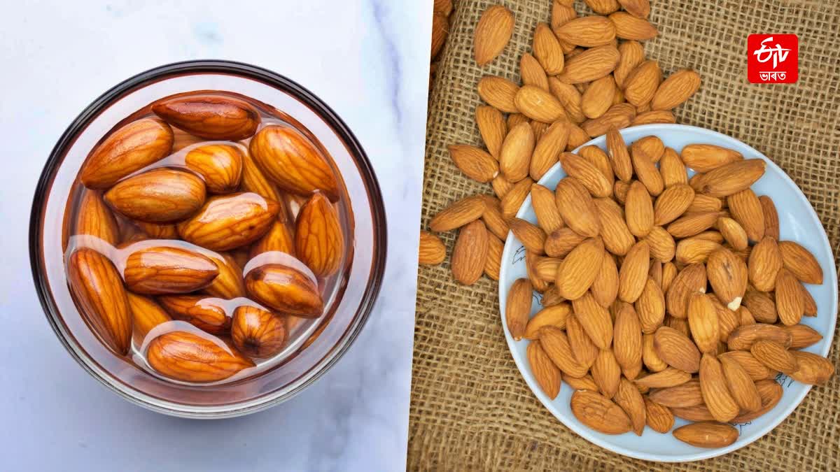Soaked Almonds VS Raw Almonds What's Best For Your Summer Diet