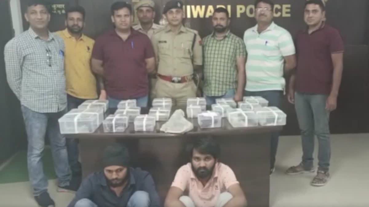 Bhiwadi police arrested two arms smugglers