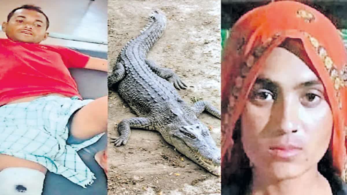 women fight with crocodile for husband
