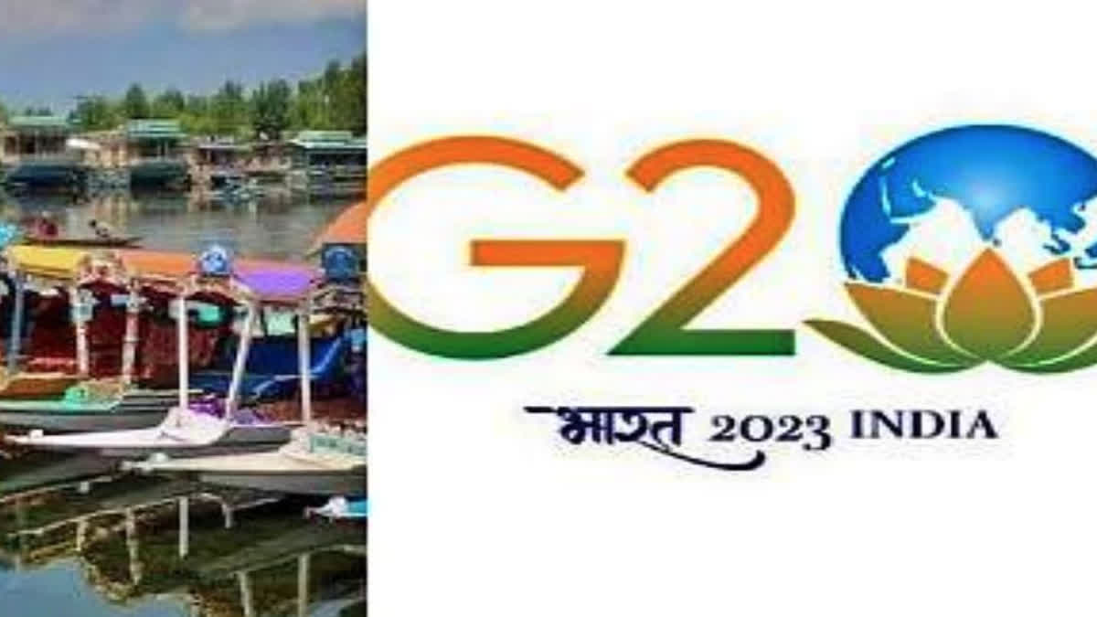 g20