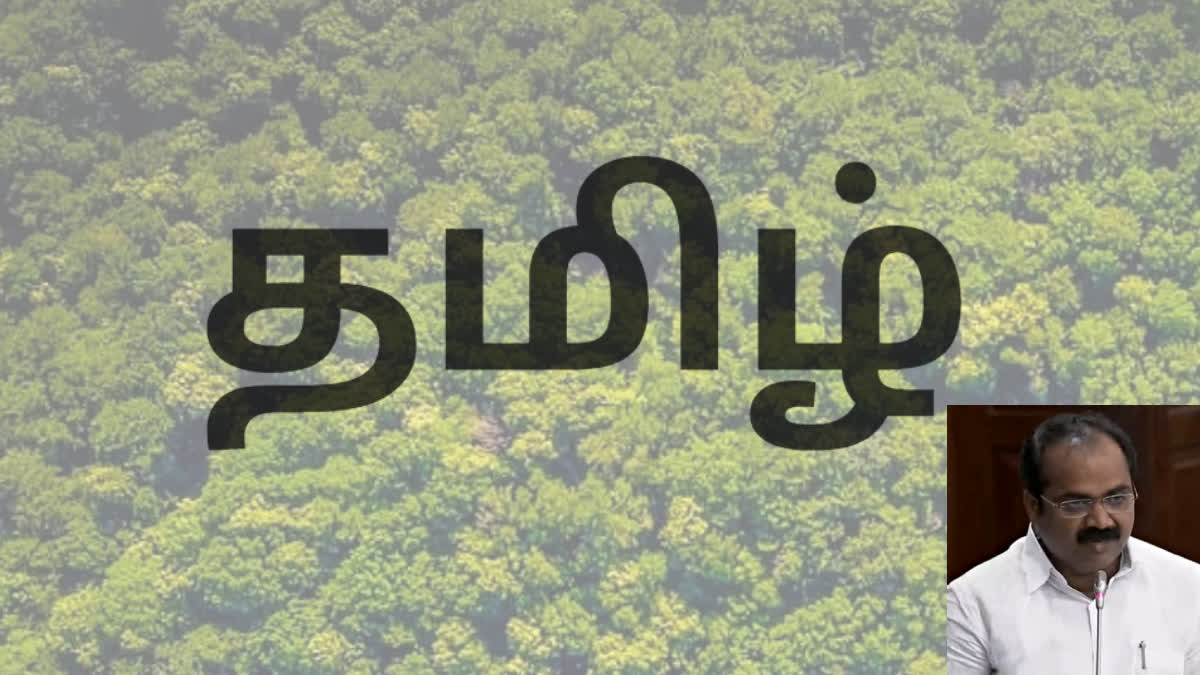 Environment Minister has announced a forest will be created like for Tamil can be seen even from the moon