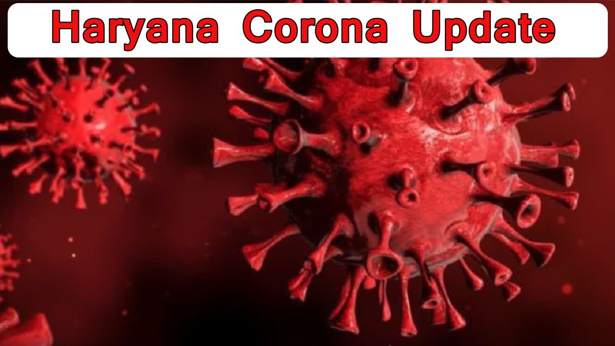 Haryana Corona Cases in 24 hours