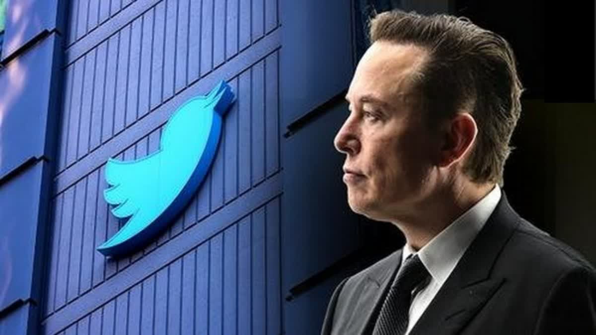 twitter ceo Elon Musk