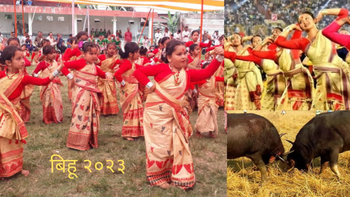 Bihu Festival 2023