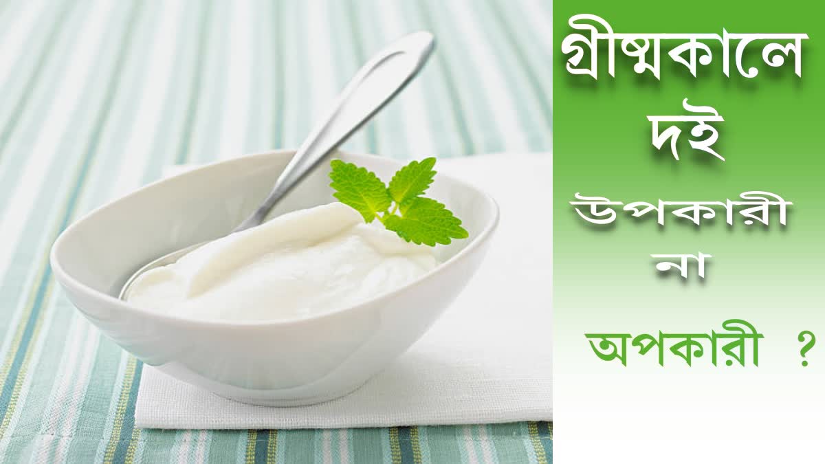 Curd For Health News