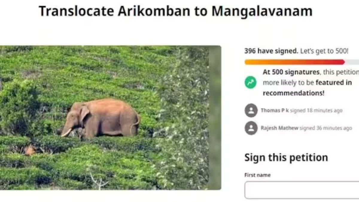 Online Campaign on rehabilitate Arikkomban  rehabilitate Arikkomban  Arikkomban into Mangalavanam  Online Campaign in Social media  Wild Elephant Arikkomban  High Court premises  അരിക്കൊമ്പനെ മംഗളവനത്തിലേക്ക് മാറ്റുക  സമൂഹമാധ്യമങ്ങളിലൂടെ കാംപയിന്‍  അരിക്കൊമ്പന്‍  ഓണ്‍ലൈന്‍ പെറ്റീഷന്‍  നിവേദനം  വനംവകുപ്പ്  മംഗളവനം  എറണാകുളം