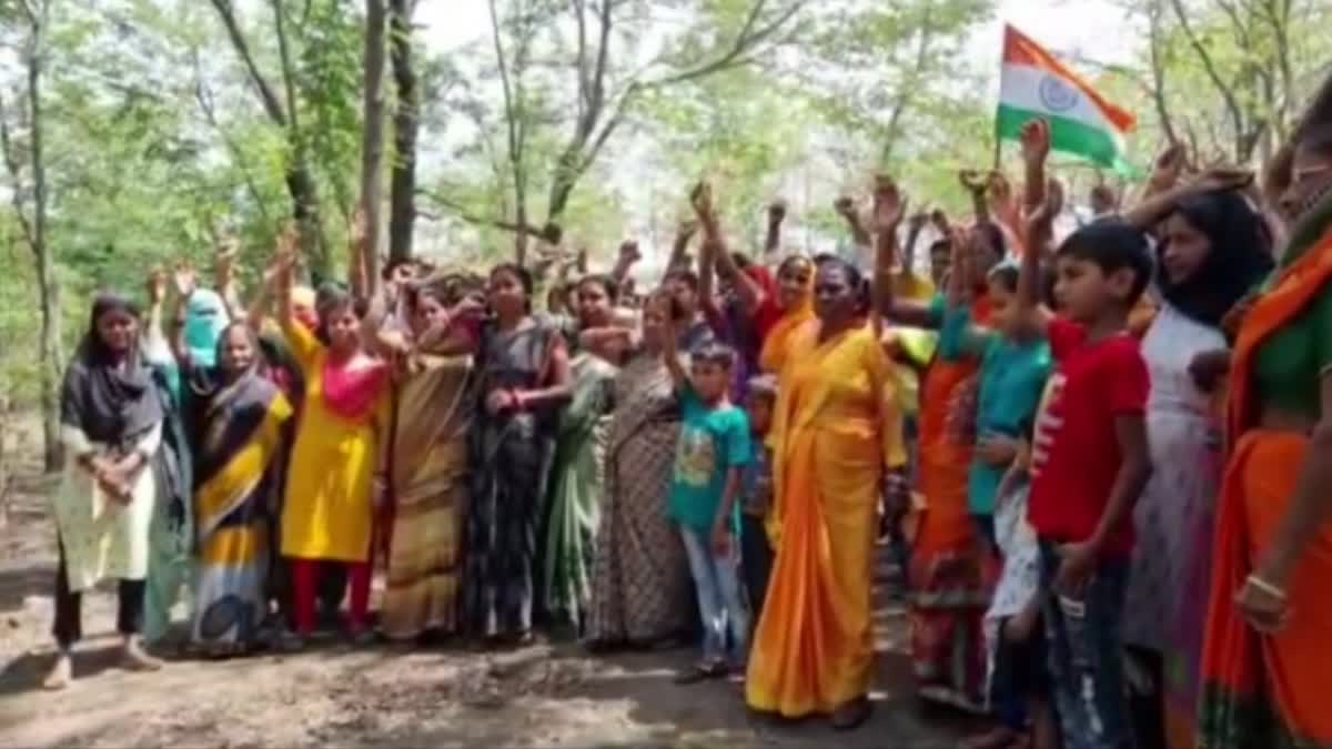 Chipko movement started in Dhanbad