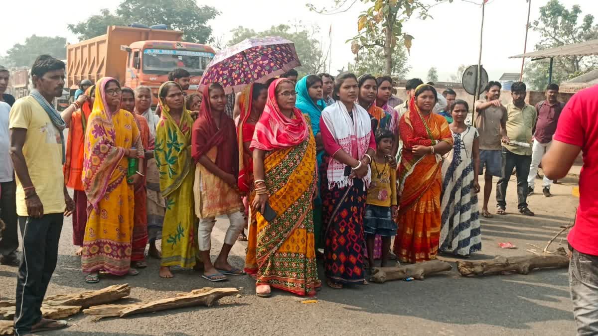 terror of elephant in seraikela