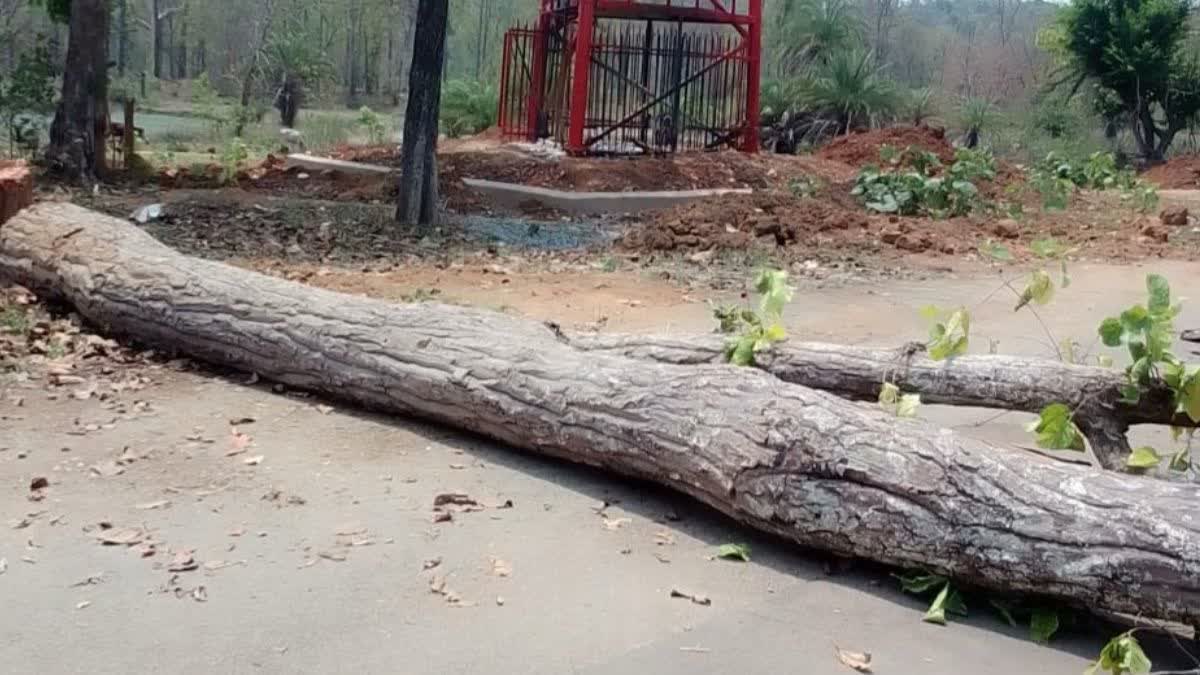 Naxalite violence in Narayanpur. Naxalites blocked road connecting Narayanpur district headquarters and Abujhmad.