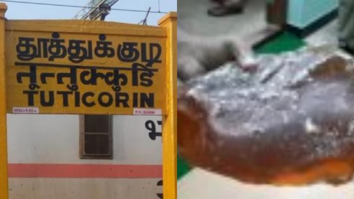 ആംബർഗ്രീസ് പിടികൂടി  Ambergris seized in Tuticorin Tamilnadu  Ambergris seized  ആംബർഗ്രീസ് പിടിച്ചെടുത്തു  തൂത്തുക്കുടി ആംബർഗ്രീസ് പിടികൂടി  crime news  Tuticorin Tamilnadu  Tamilnadu news