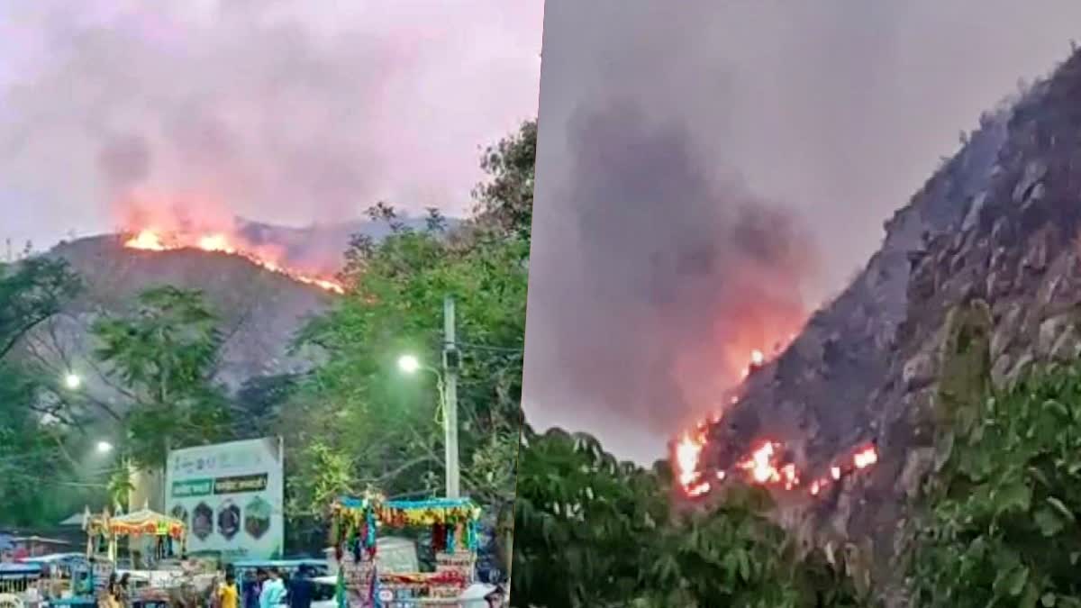 Fire In Nalanda: राजगीर वैभारगिरी पहाड़ पर लगी भीषण आग, फायर ब्रिगेड की  दर्जनों गाड़ियां मौजूद, fire broke out on rajgir vaibhargiri mountain of  nalanda