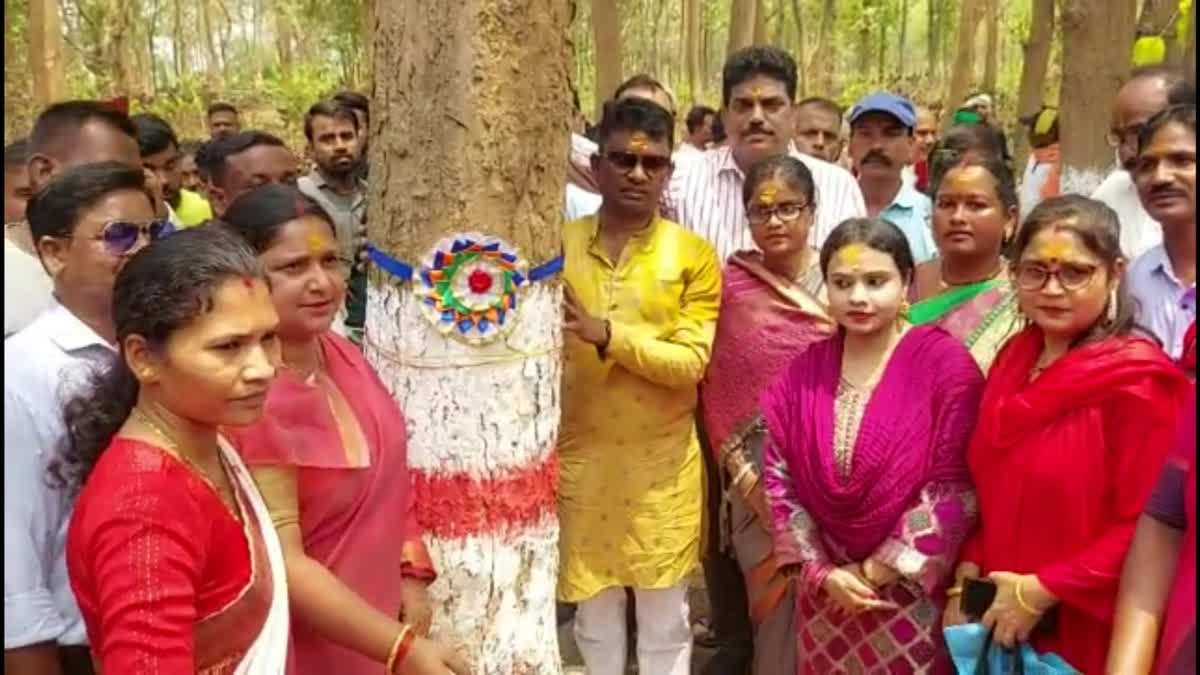 Laying the Foundation Stone Of Bio Diversity Park