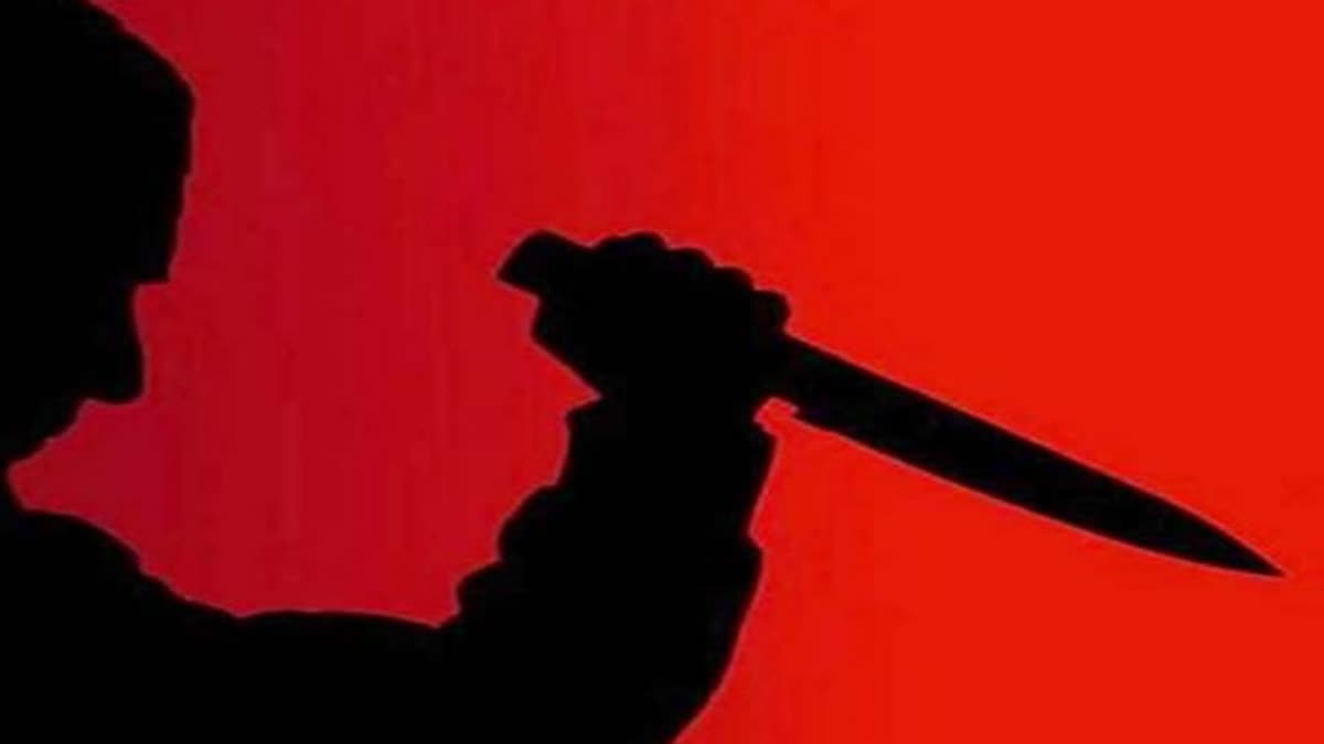 husband stabbed wife to death in delhi
