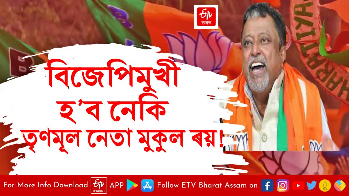 TMCS Mukul Roy missing