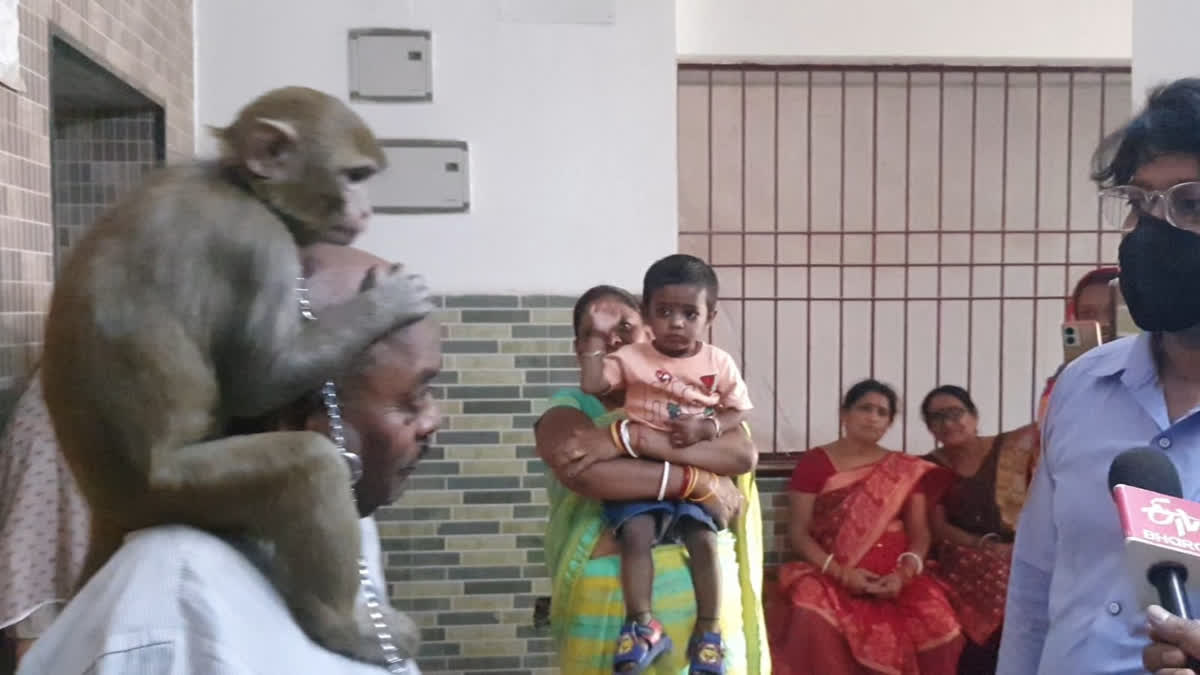 Monkey terror in Aastha Hospital Ranchi