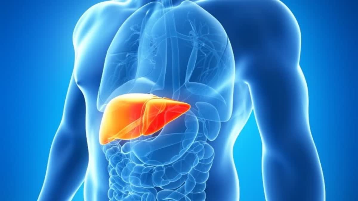 liver treatment in Chandigarh liver problem