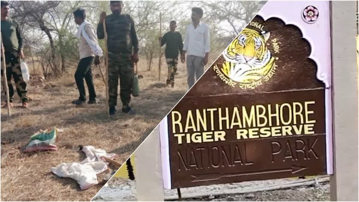 Ranthambore National Park