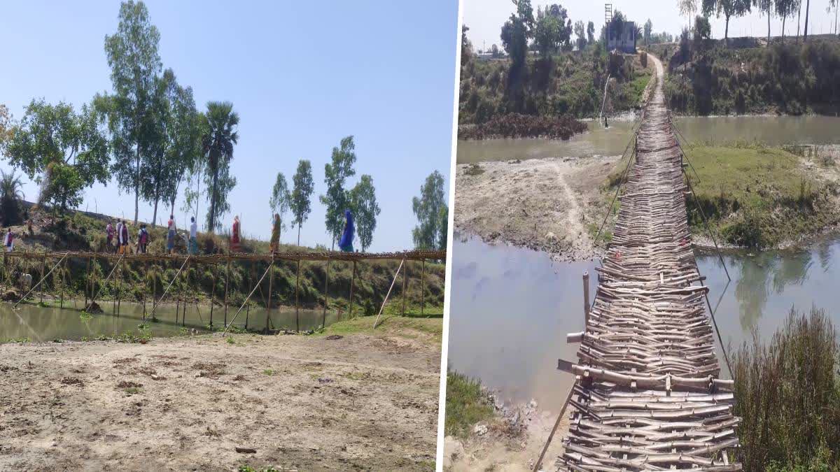 Bamboo Bridge