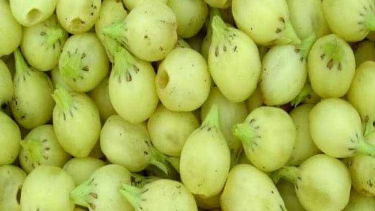 Mahua full of medicinal properties