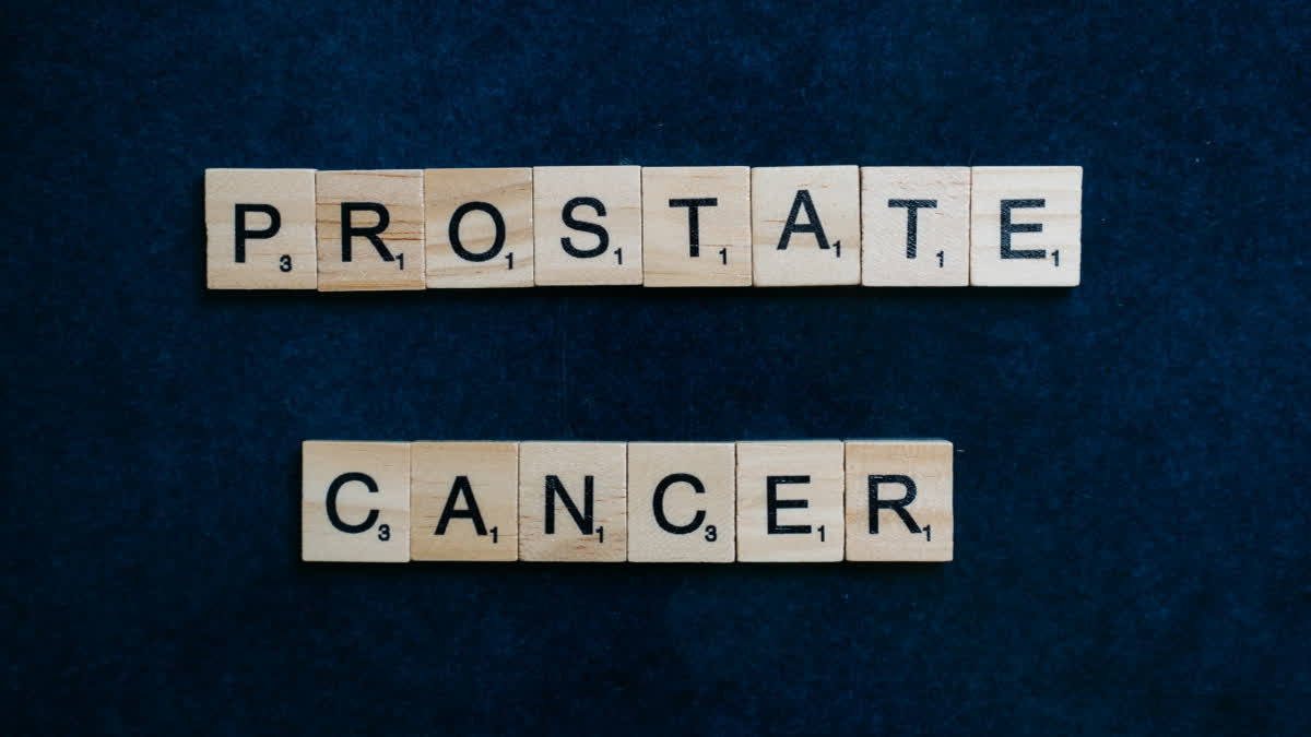 Researchers reveal connection of healthy diet, prostate cancer