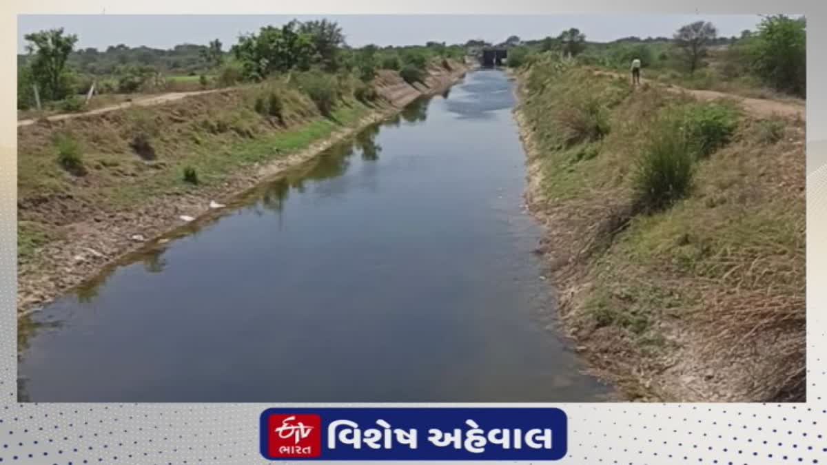 Sabarkantha News : સુજલામ સુફલામ કેનાલમાં કેમિકલ નાંખી પાણી પ્રદૂષિત કરાયું, કોણે કર્યો ઘટસ્ફોટ જાણો