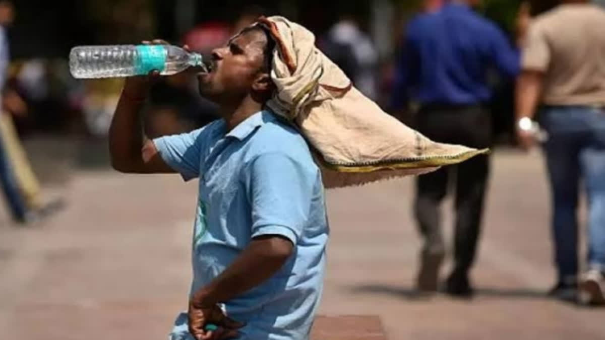 risk of dehydration increases in summer