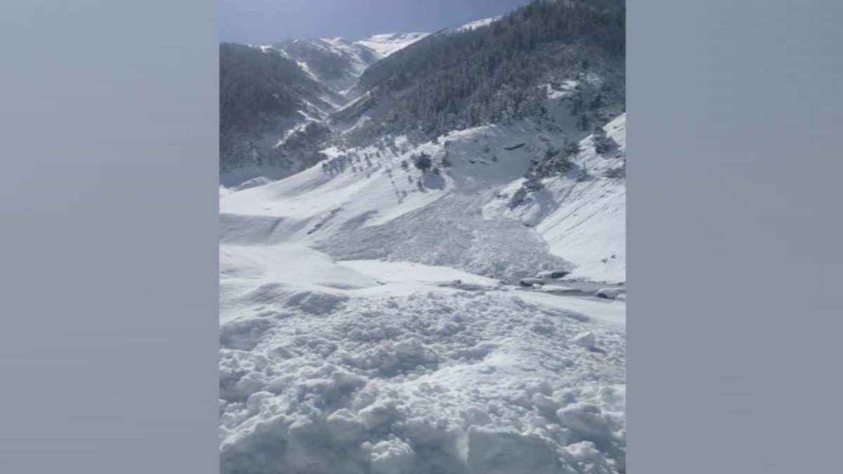 Representative image of Avalanche