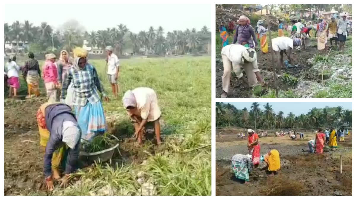 Upadi Hami Pathakam Workers Problems