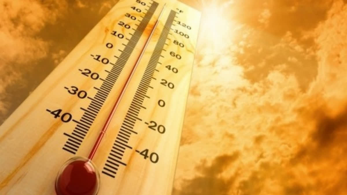 Study finds heatwaves linked to climate change may prevent India from meeting sustainable development goals