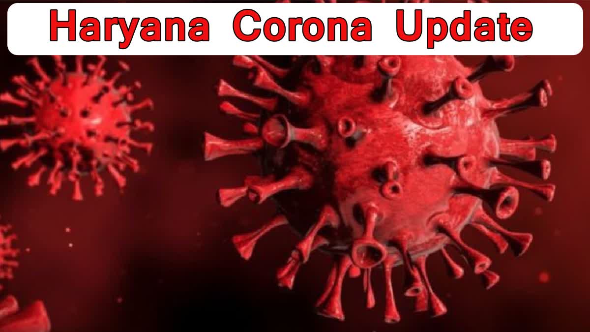 corona death in haryana