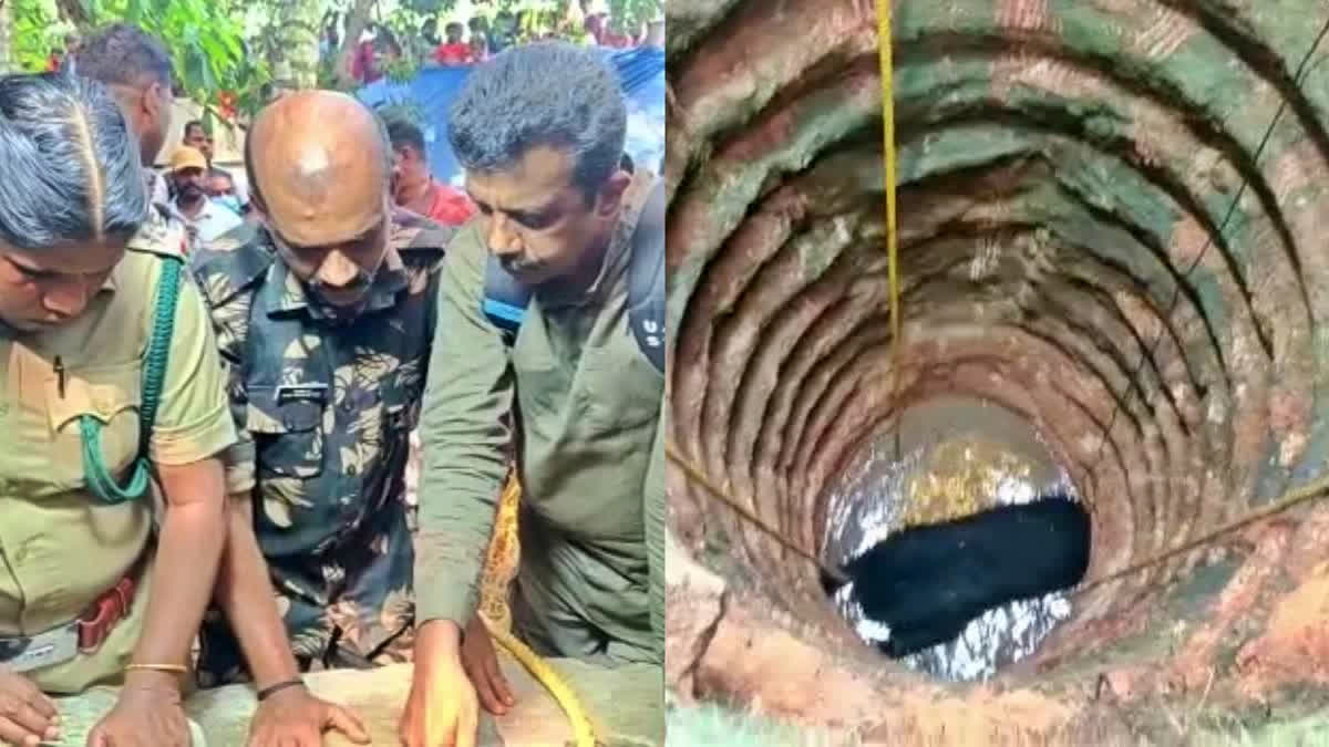 Bear dies after being trapped in a well for over ten hours