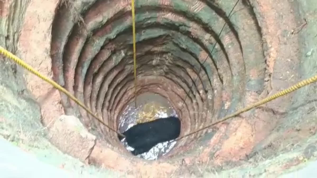 Bear falls into well  Bear falls into well allegations against forest  വനംവകുപ്പിനെതിരെ ആരോപണം ശക്തം  വനംവകുപ്പ്  വനംവകുപ്പിനെതിരെ ആരോപണം