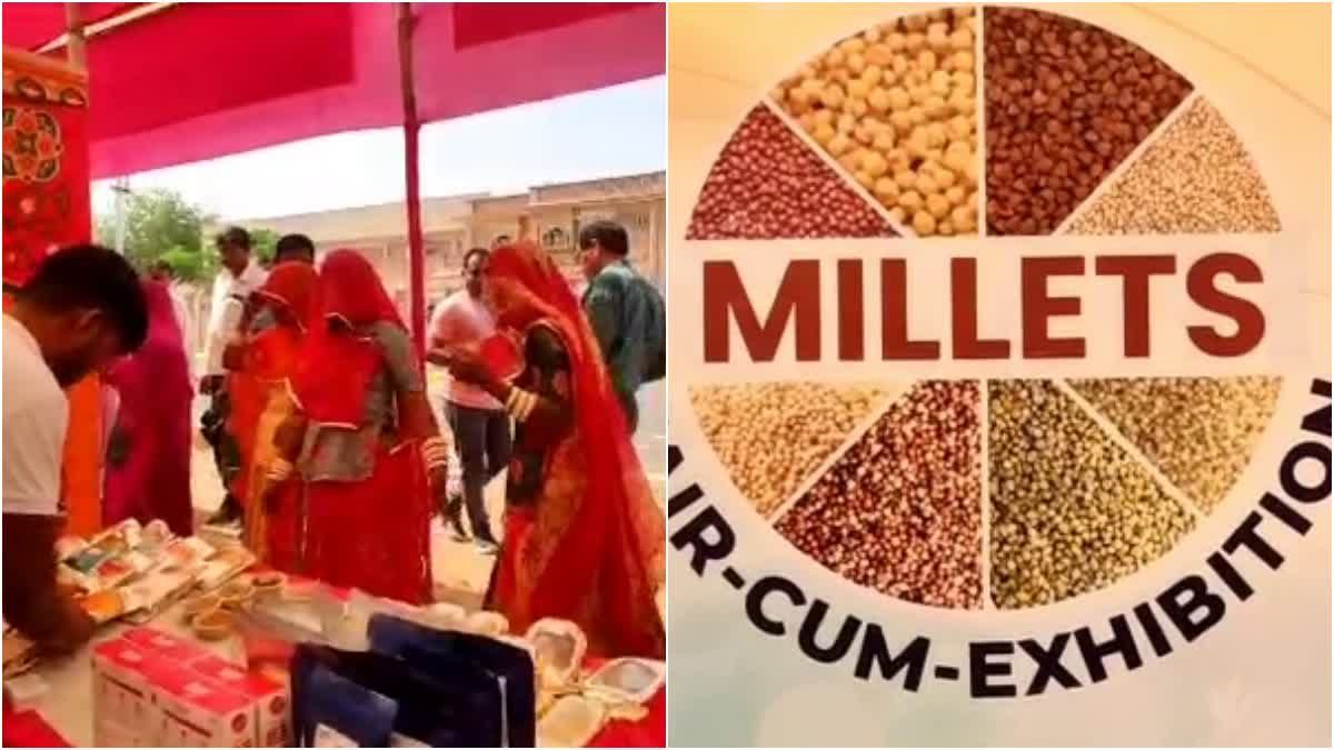 Millets Fair Cum Exhibition in Jodhpur