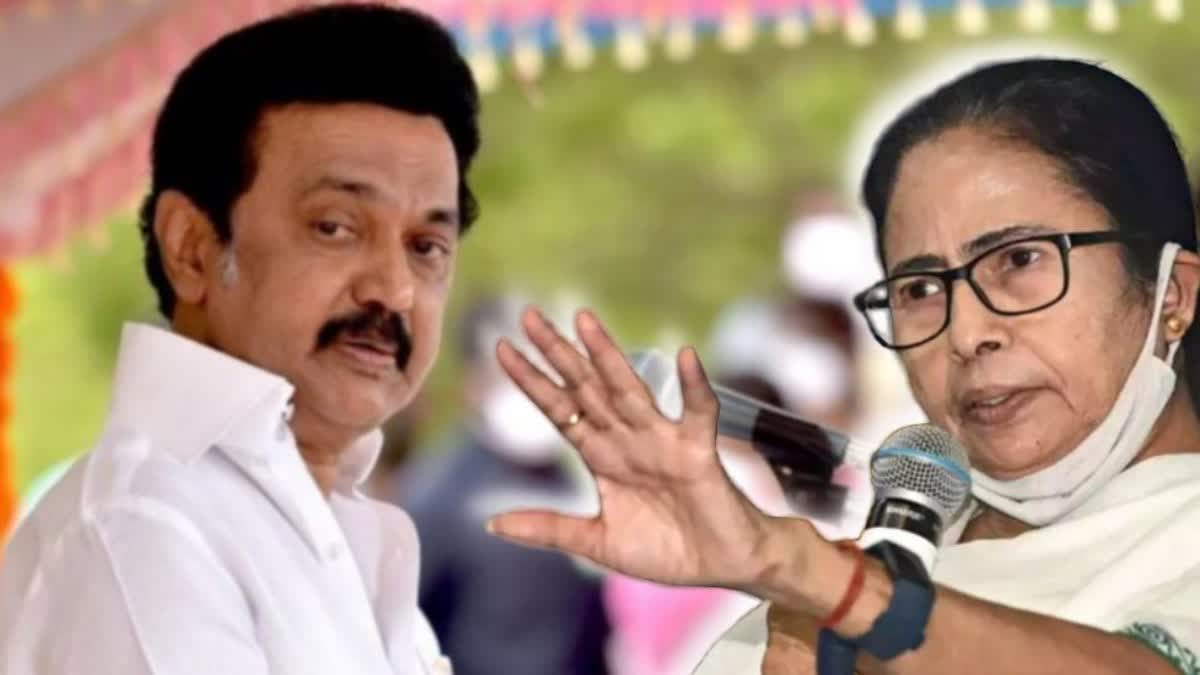 Mamata talks to Stalin  mamata banerjee calls mk stalin  governor raj  mamata calls mk stalin talked about governor raj  മമതയുടെ പിന്തുണ  സ്റ്റാലിനെ ഫോണില്‍ വിളിച്ച് ബംഗാള്‍ മുഖ്യമന്ത്രി  ഫോണില്‍ വിളിച്ച് ബംഗാള്‍ മുഖ്യമന്ത്രി