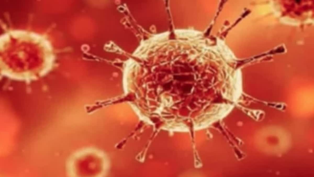 مہاراشٹر میں کورونا وائرس کے گیارہ سو سے زائد نئے معاملے، تین لوگوں کی موت