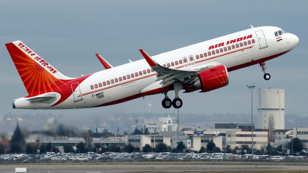 Air India Pilot