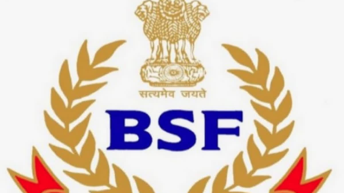 bsf saves girl from drowning