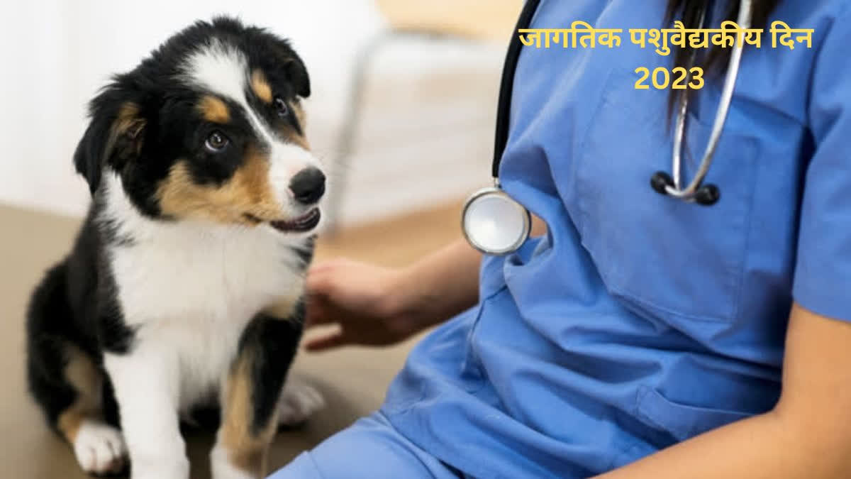 World Veterinary Day 2023