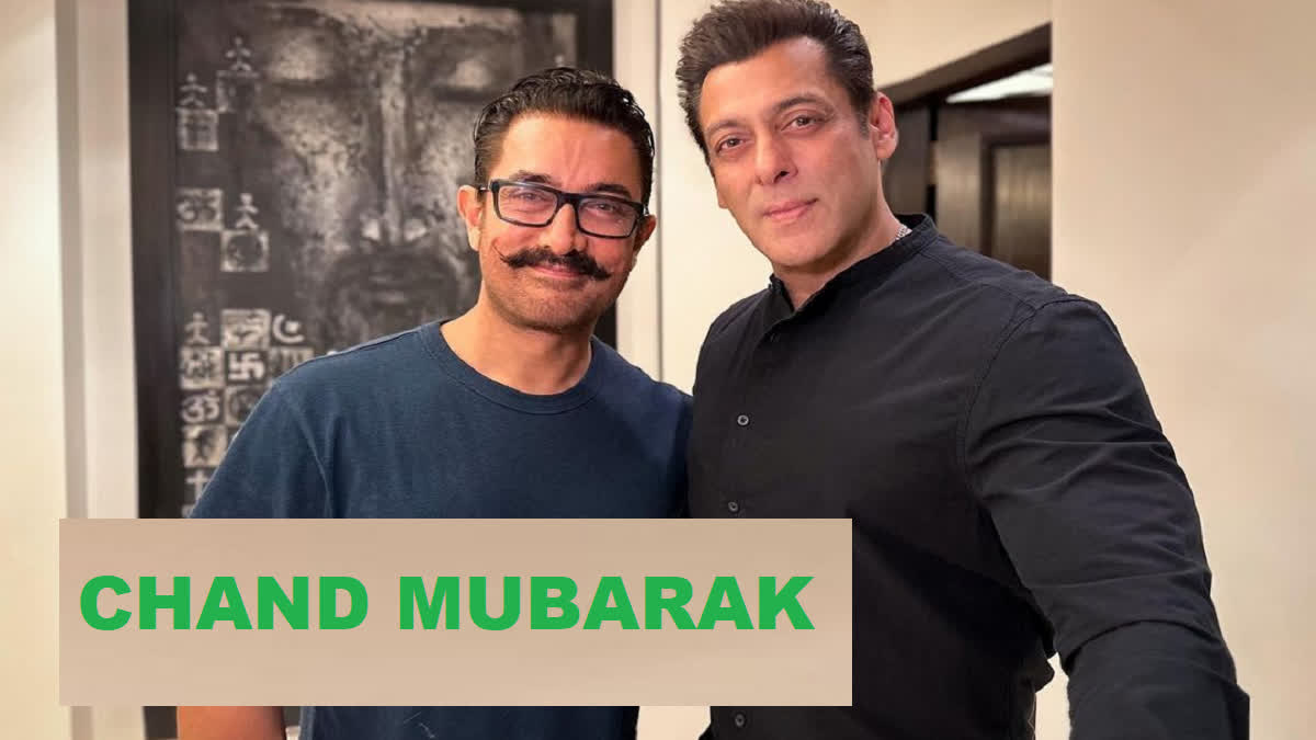 Salman-Aamir