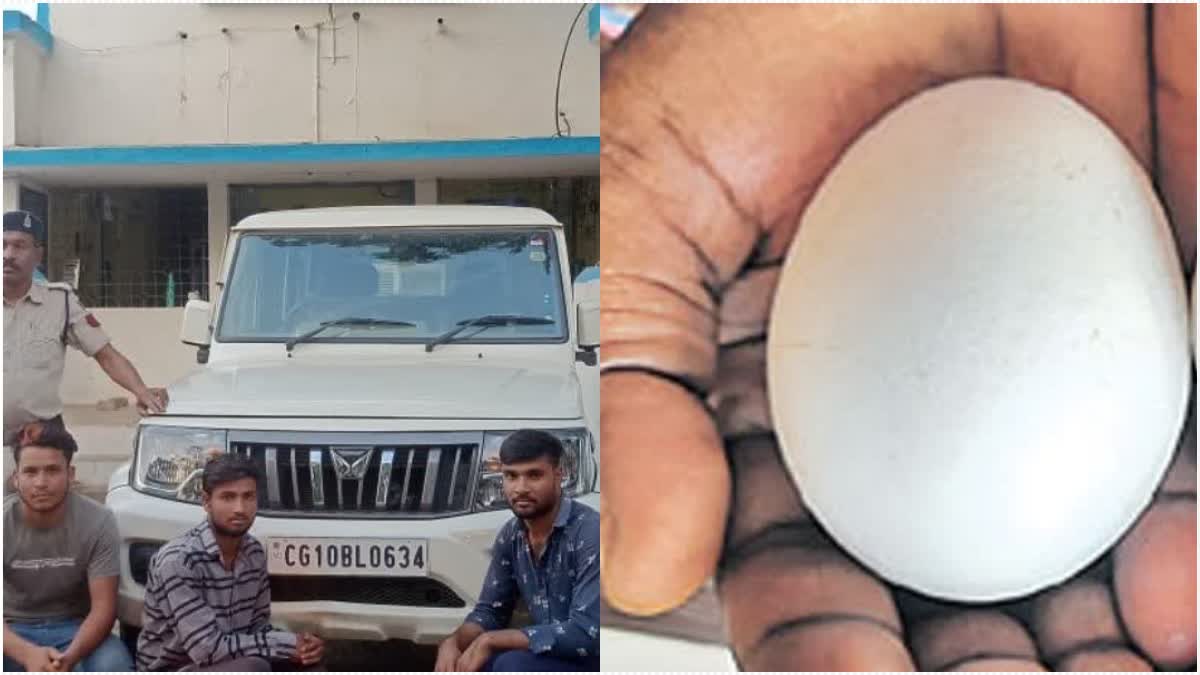 man kidnapped for eggs in bilaspur  Chhattisgarh