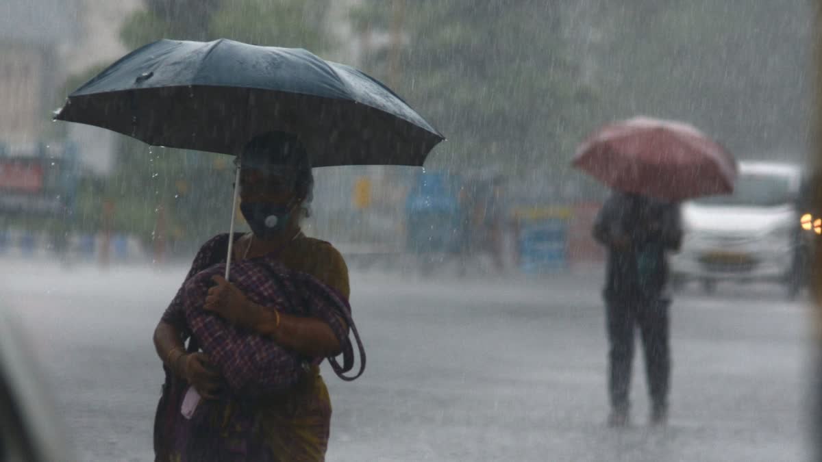 Weather update  കാലവസ്ഥ  Weather update kerala  സംസ്ഥാനത്ത് ഇടിമിന്നലോട് കൂടിയ മഴയ്‌ക്ക് സാധ്യത  കേന്ദ്ര കാലാവസ്ഥ വകുപ്പ്  യെല്ലോ അലേർട്ട്  Yellow Alert Kerala  ഇടിമിന്നലോട് കൂടിയ മഴയ്ക്ക് സാധ്യത