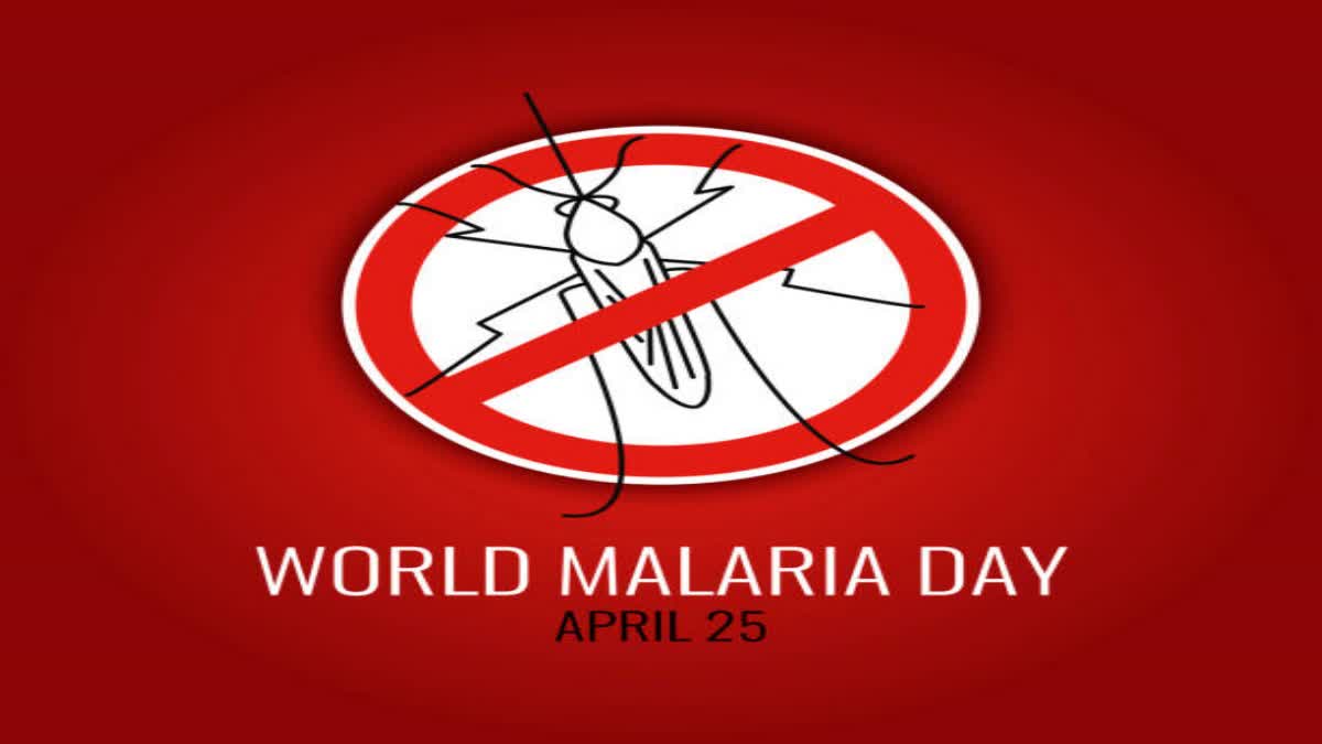 World Malaria Day