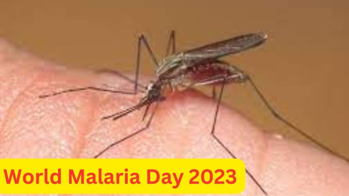 World Malaria Day 2023